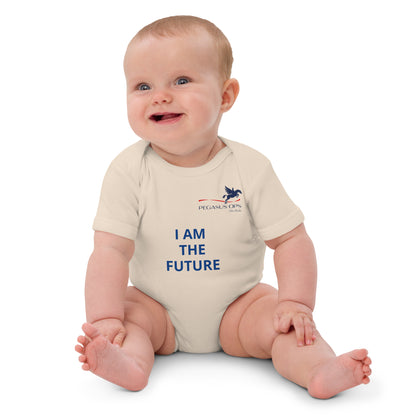 Organic cotton baby bodysuit