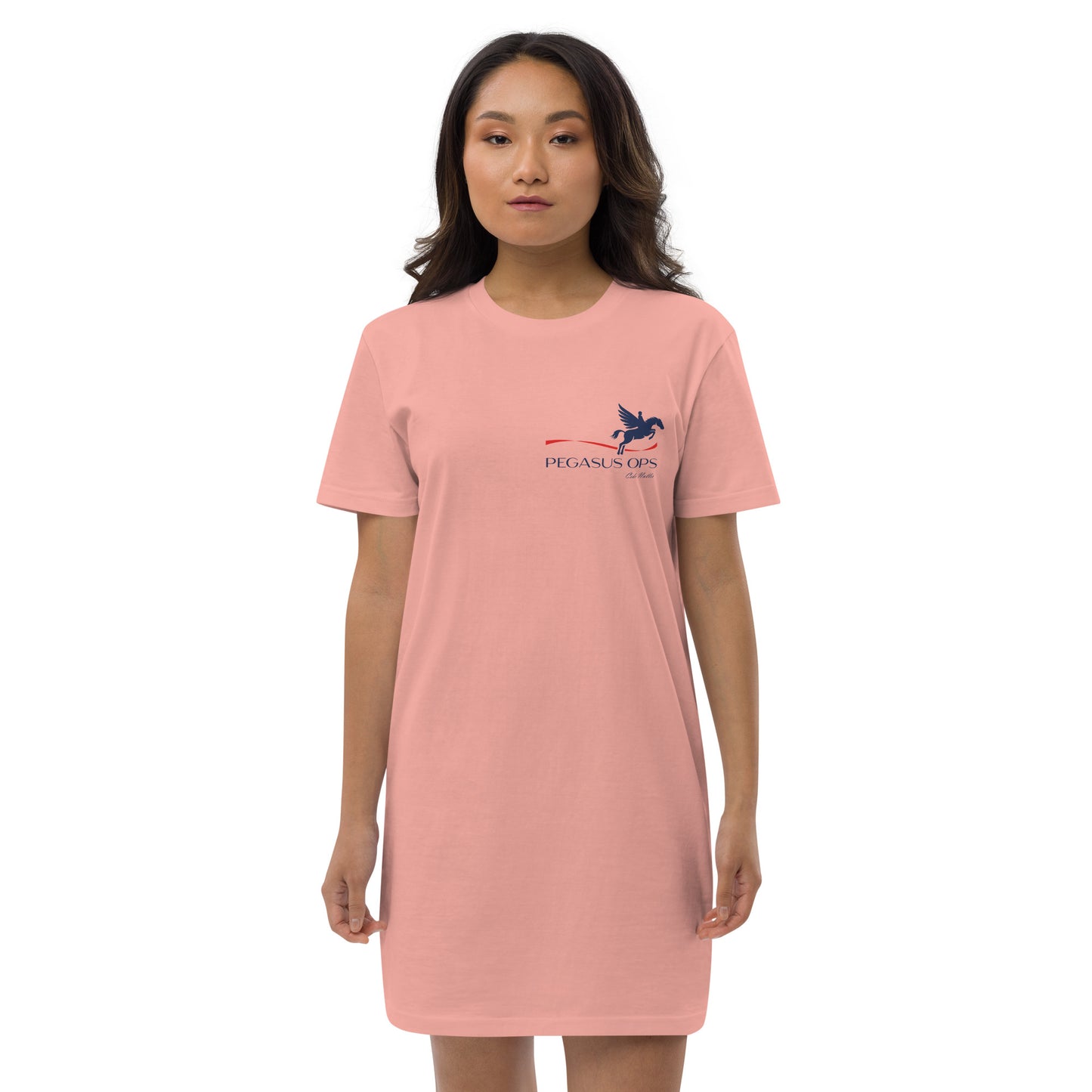 Organic cotton t-shirt dress